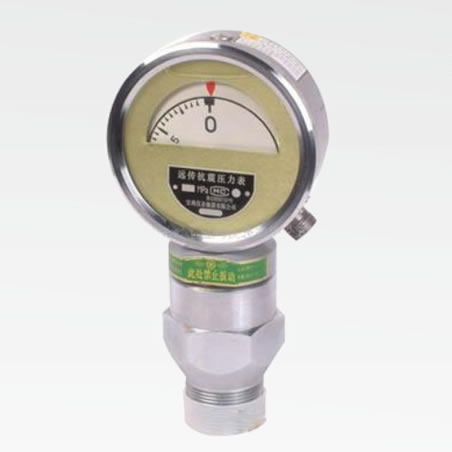 Big head shockproof pressure gauge