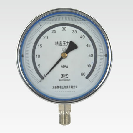 Precision perssure gauge