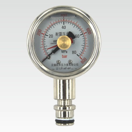 Dual pointer shockproof pressure gauge